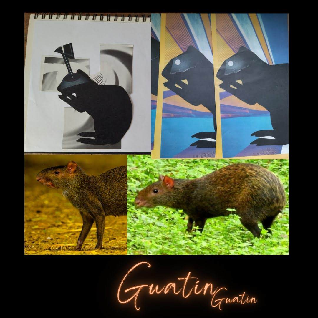 Collage de fauna urbana para La Perla